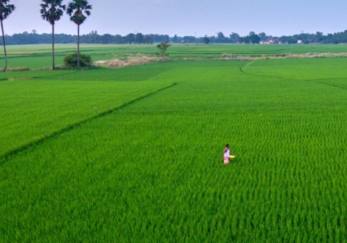Can Subsistence Farming and Agriculture Feed the World and Strengthen Local Economies?