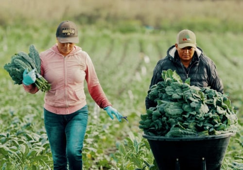 What is Harvesting? Exploring the Essential Process of Gathering Crops and Its Impact on Agriculture